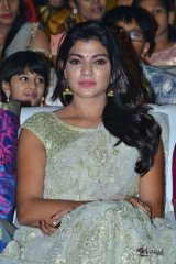 Srinivasa Kalyanam Movie Audio Launch Photos